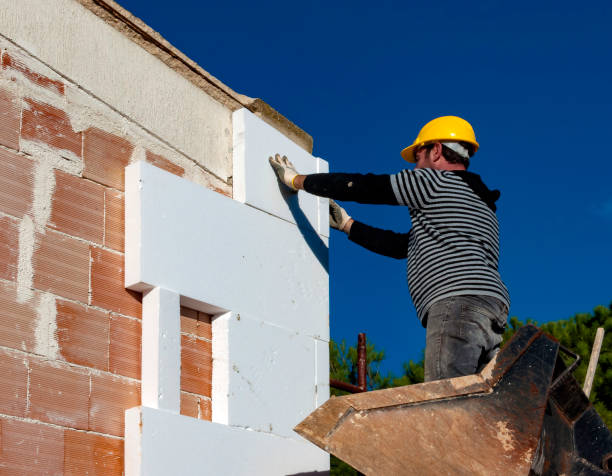 Best Insulation Installation Services in Chisholm, MN