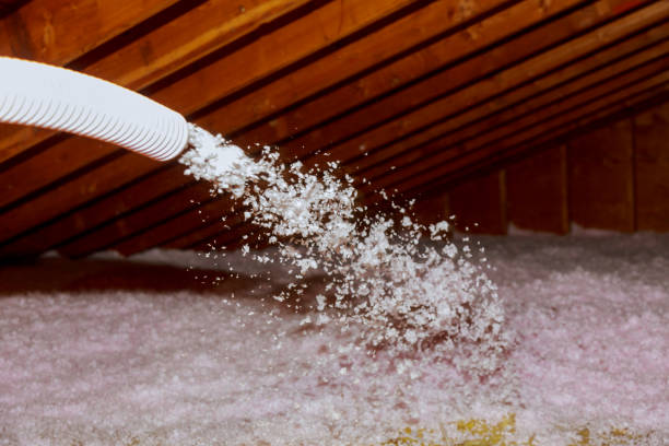 Best Energy Efficiency Solutions in Chisholm, MN