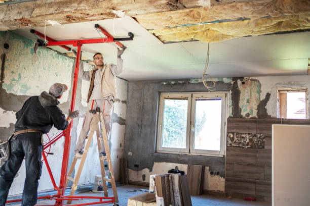 Best Specialty Insulation in Chisholm, MN