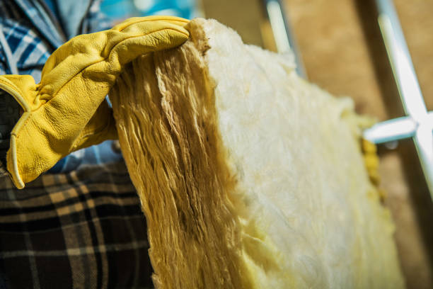 Best Residential Insulation in Chisholm, MN
