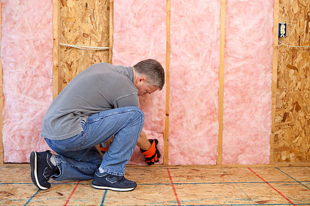 Best Commercial Insulation in Chisholm, MN