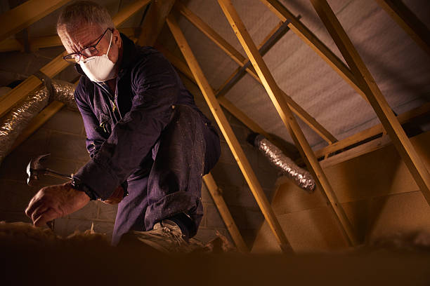 Best Residential Insulation in Chisholm, MN