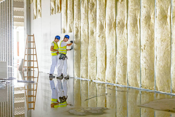 Best Insulation Maintenance and Repair in Chisholm, MN